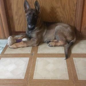 Meet your Posher, Tonya